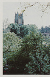 Boatwright Tower Over The Trees by University of Richmond