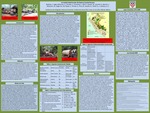 Un Análisis Multi-Escalar del Sistema Forestal Peruano by J. Boettner, G. Sager-Gellerman, E. Strickler, C. Courtenay, R. Gilb, W. Gordon, G. Leonard, J. Marconi, M. McGovern, M. Nagle, C. Paiz Tejada, Andrew Pericak, M. Price, D. Vassallo, R. Yowell, and David S. Salisbury